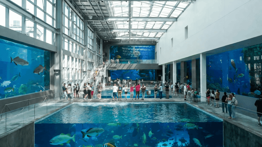 Georgia Aquarium in Downtown Atlanta